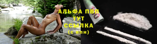 крисы Куйбышев