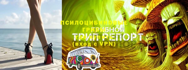 первитин Лиски