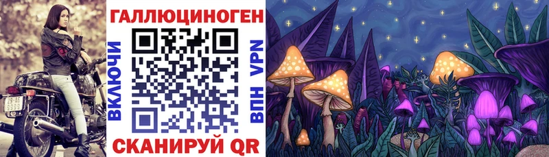Галлюциногенные грибы прущие грибы  Мелеуз 